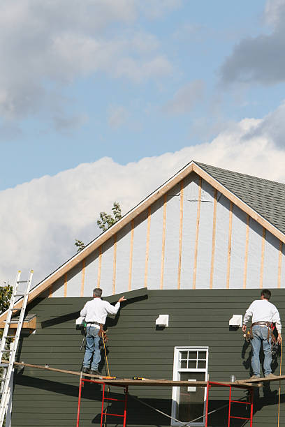 Best Insulated Siding Installation  in Litchfield, MI