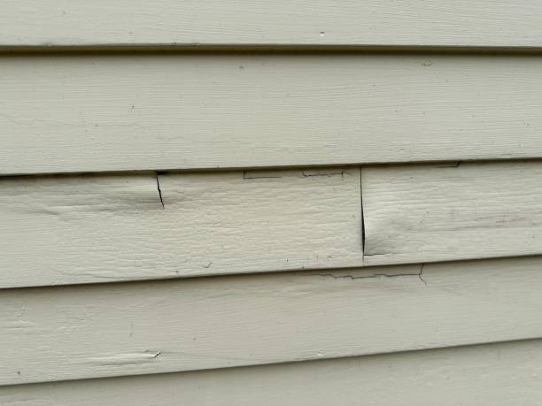 Reliable Litchfield, MI Siding Installation & Repair Solutions