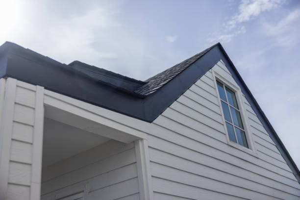 Best Historical Building Siding Restoration  in Litchfield, MI