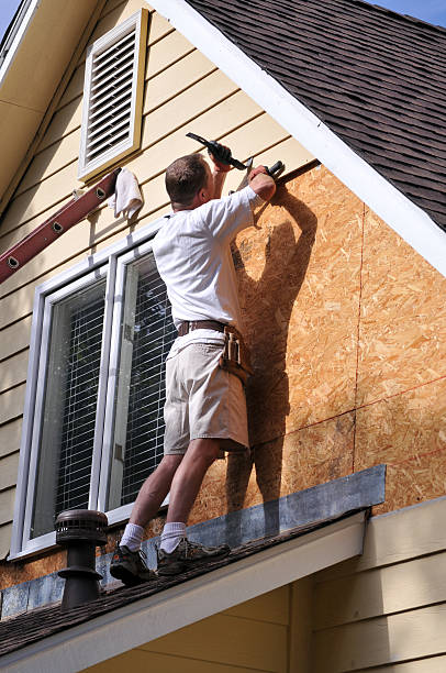 Best Siding Painting and Refinishing  in Litchfield, MI